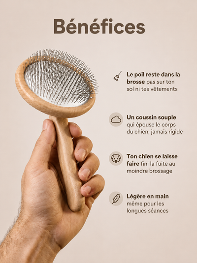 PILOU — Brosse anti-poils pour chiens à sous-poil
