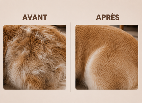 PILOU — Brosse anti-poils pour chiens à sous-poil