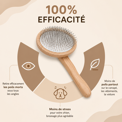 PILOU — Brosse anti-poils pour chiens à sous-poil