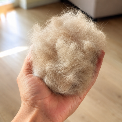PILOU — Brosse anti-poils pour chiens à sous-poil