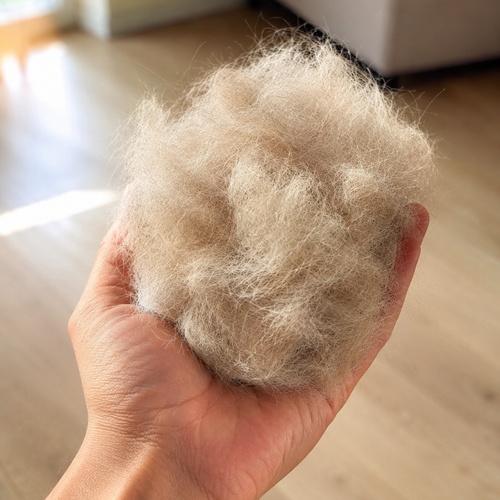 PILOU — Brosse anti-poils pour chiens à sous-poil